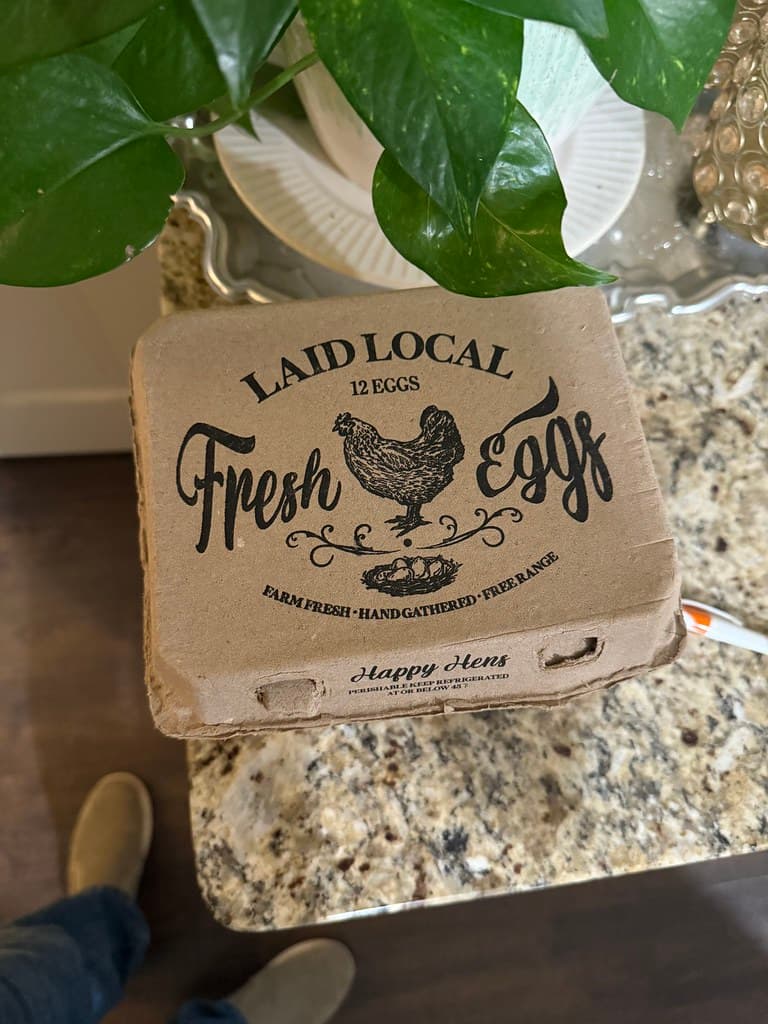 Available livestock at AMRabbits